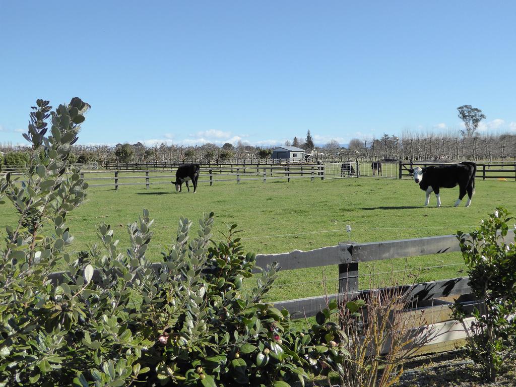 On St Andrews Havelock North